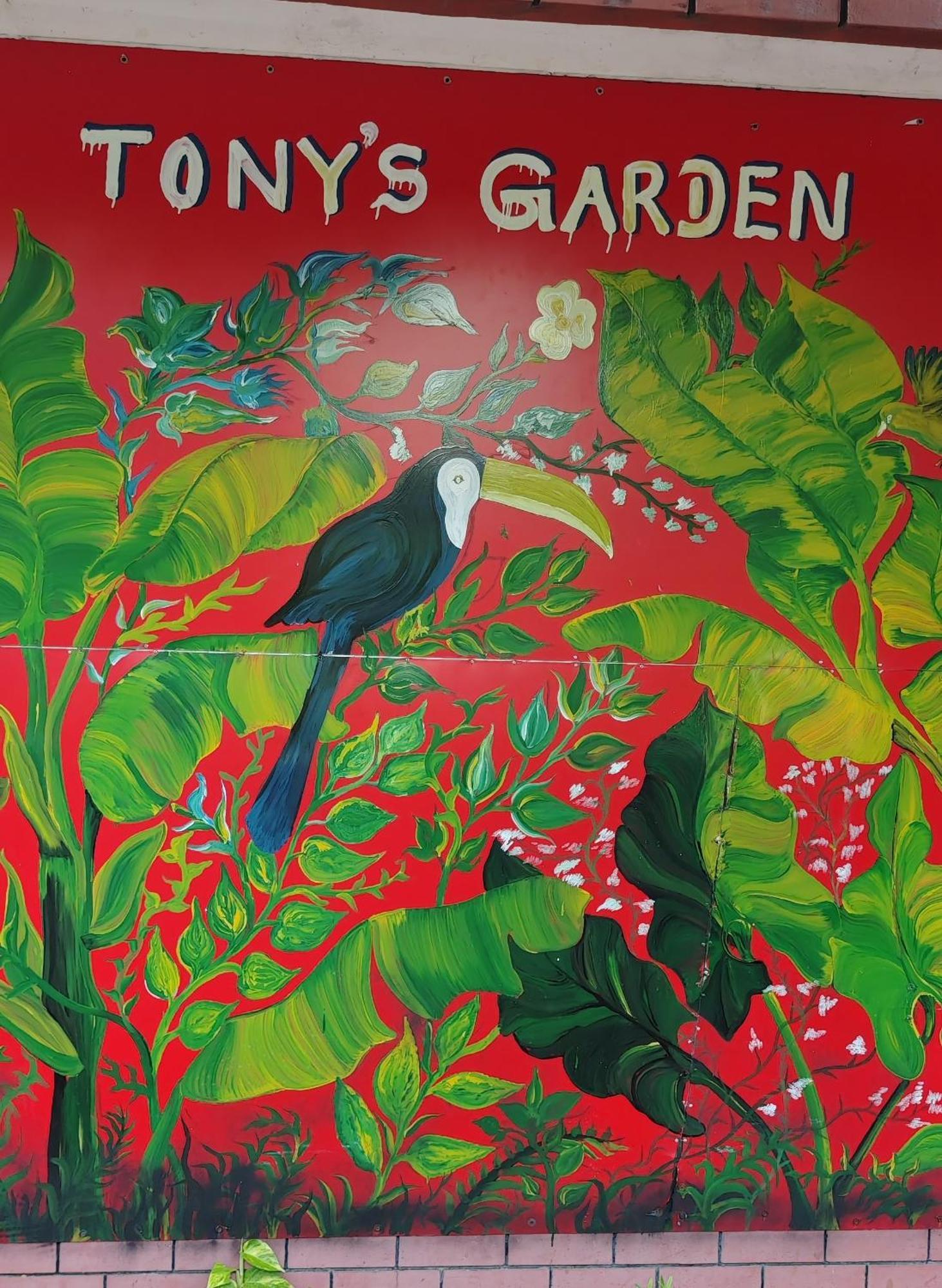 Tony'S Garden House Back Packers Inn Jaffna Extérieur photo