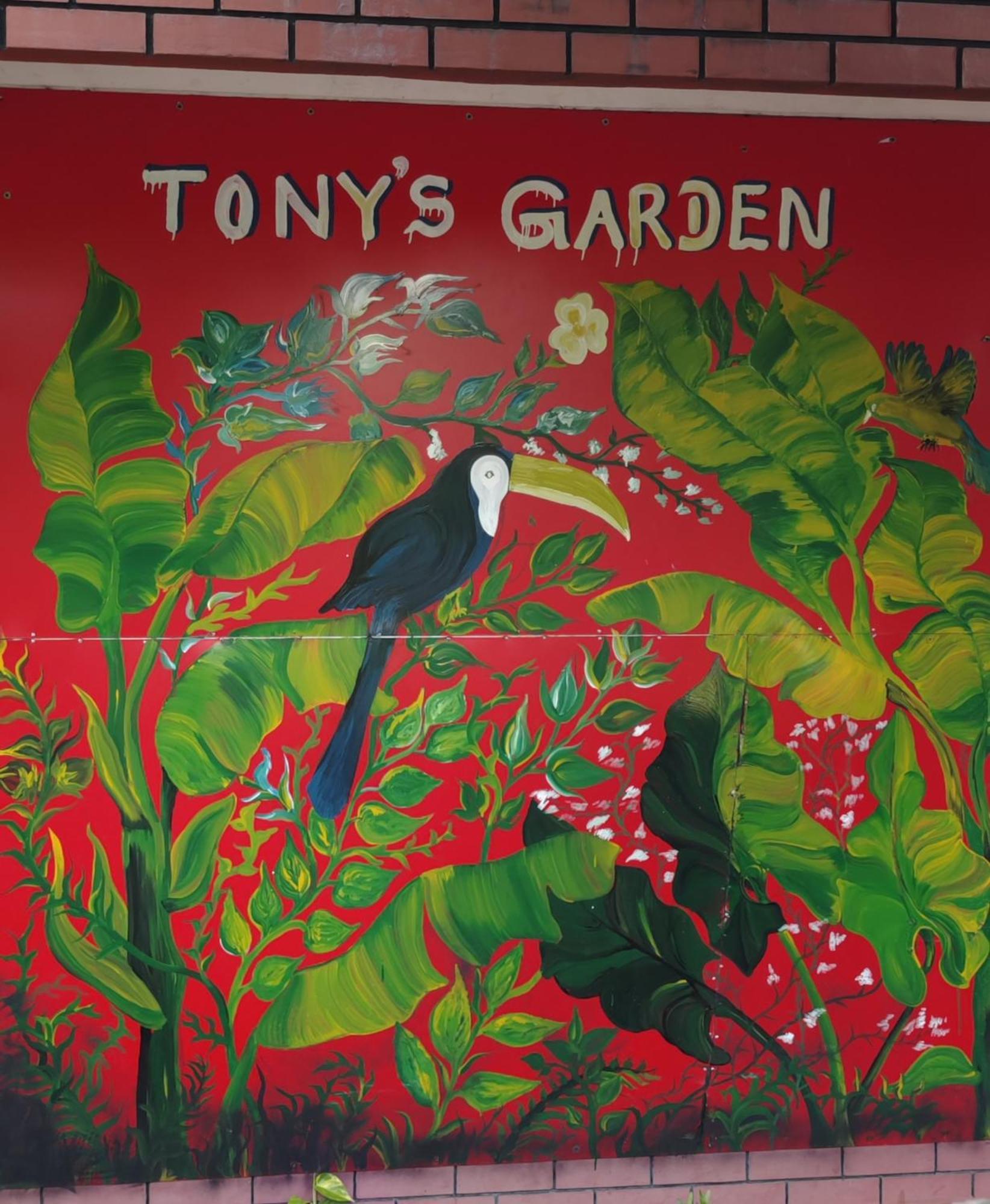 Tony'S Garden House Back Packers Inn Jaffna Extérieur photo